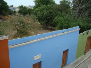Campeche fake