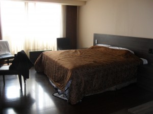 SAM_0006