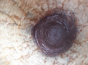 Notre pâte de chocolat faite maison