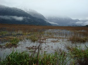 La Patagonie près de Peulla